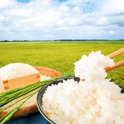 ふるさと納税 潮来市 潮来市産[令和7年産]特別栽培米コシヒカリ 玄米10kg