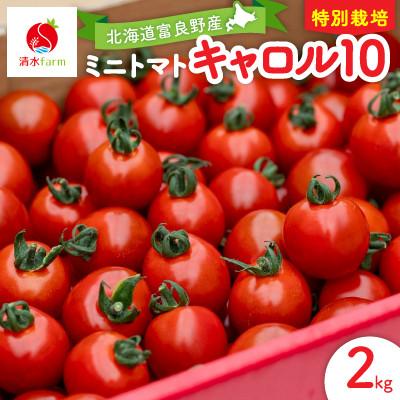 ふるさと納税 富良野市 【2027年発送先行受付】清水farm【ミニトマト