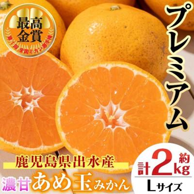 ふるさと納税 出水市 [最高金賞受賞]温州みかん日本一! 濃甘 あめ玉みかん〜プレミアム 恵み〜(約2kg・Lサイズ)
