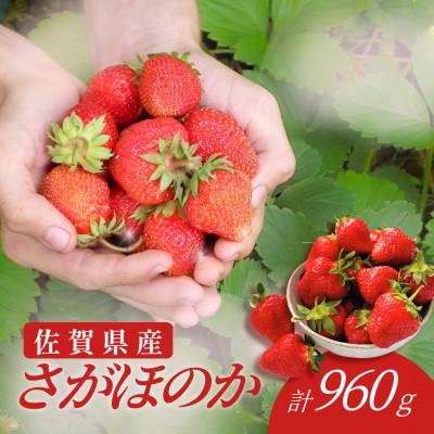 ふるさと納税 吉野ヶ里町 [みずみずしい果肉]さがほのかレギュラーパック4P(240g×4)吉野ヶ里町