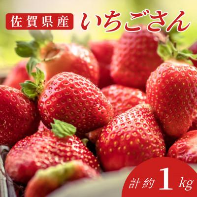 ふるさと納税 吉野ヶ里町 やさしい味わい!いちごさん 平パック×4P 約1kg