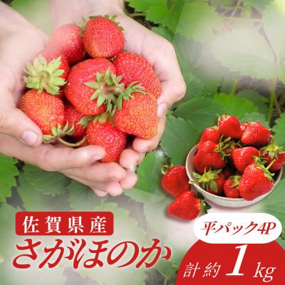 ふるさと納税 吉野ヶ里町 みずみずしい果肉!さがほのか平パック4P 約1kg
