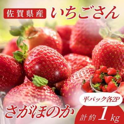 ふるさと納税 吉野ヶ里町 佐賀県自慢の2種!さがほのか&amp;いちごさん 平パック4P 約1kg