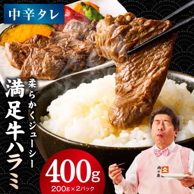 ふるさと納税 泉佐野市 満足牛ハラミ 中辛タレ漬け 合計400g お試し 味付け 小分け 焼肉