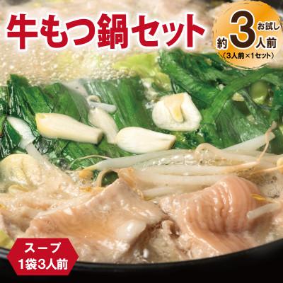 ふるさと納税 泉佐野市 牛もつ鍋セット スープ付 お試し 約3人前[味付け 小分け 牛肉 ホルモン 醤油ベース]G3451