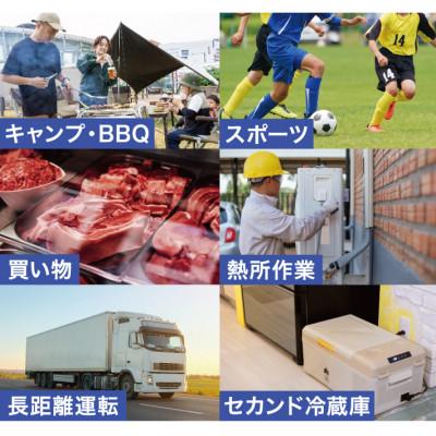 ふるさと納税 城陽市 野電　エレキャン・冷凍冷蔵庫 16(‐20℃/20℃)アウトドアやBBQで役立つ!　74175097 |  | 03