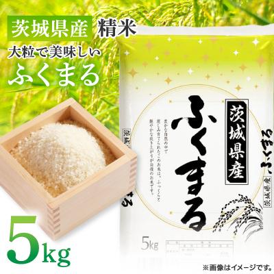 ふるさと納税 土浦市 【令和7年産】新米 茨城県産 ふくまる 精米 5kg(5kg×1袋) 大粒で美味しい お米
