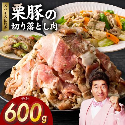 ふるさと納税 泉佐野市 栗豚切り落とし お試し 600g オリジナルスパイス仕込み 豚肉 300g×2P