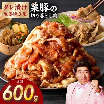 ふるさと納税 泉佐野市 生姜焼き用 栗豚切り落とし お試し 合計600g たれ漬け 小分け 300g×2P