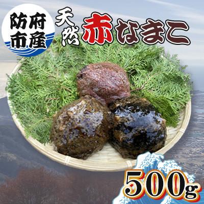 ふるさと納税 防府市 [先行受付]防府市産天然赤なまこ500g