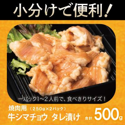 ふるさと納税 泉佐野市 牛シマチョウ 焼肉用 タレ漬け 合計500g【味付け 小分け 牛肉ホルモン】 |  | 03