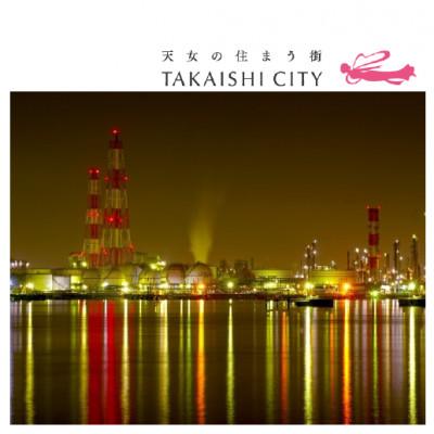 ふるさと納税 高石市 高石婚活夜景ツアー[26年2月7日(土)開催・1日限り ]