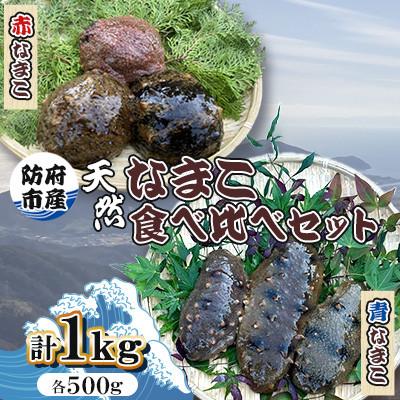 ふるさと納税 防府市 [先行受付]防府市産天然赤なまこ青なまこ食べ比べセット