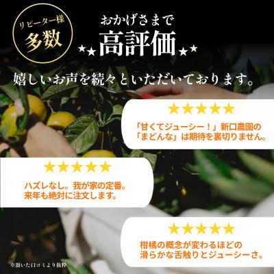 ふるさと納税 八幡浜市 【今シーズン発送開始】五代目が厳選!訳ありまどんな3.5kg【紅まどんなと同品種】【D70-140】 |  | 02