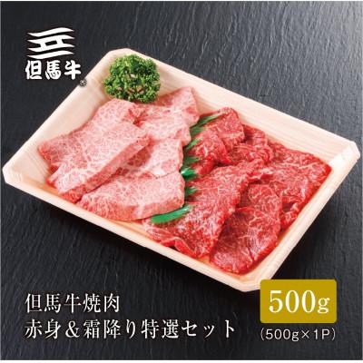 ふるさと納税 三木市 [但馬牛]焼肉 赤身&amp;霜降り 特選セット500g[1313161]FH02[熨斗付き]