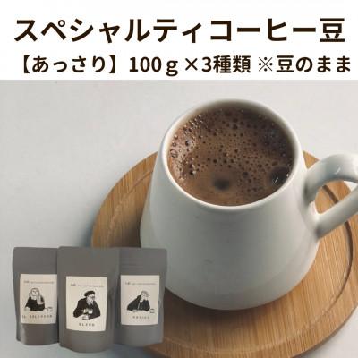ふるさと納税 八女市 スペシャルティコーヒー豆100g×3種類[あっさり]※豆のまま