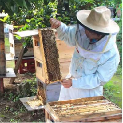 ふるさと納税 水戸市 季節で移ろうはちみつ7種プチギフトセット【結蜜