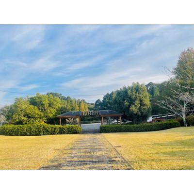 ふるさと納税 掛川市 お墓参り代行(拭き掃除、墓花一組)[市外居住者のみ・富士見台霊園限定]