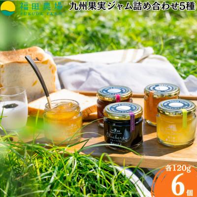 ふるさと納税 水俣市 九州果実 ジャム 詰め合わせ 5種 計6個 (各120g)[福田農場]