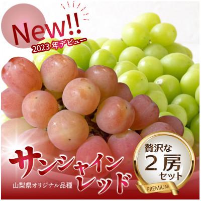ふるさと納税 山梨市 2026年発送[数量限定]希少な新品種サンシャインレッドと大人気シャインマスカットの贅沢2房セット