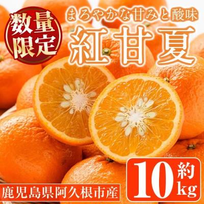 ふるさと納税 阿久根市 [先行予約受付中!] 数量限定 紅甘夏 (約10kg)[桐野柑橘]akn070-08
