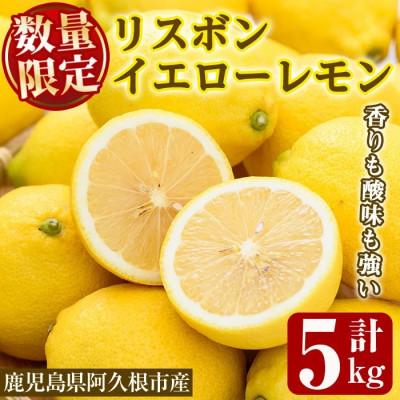 ふるさと納税 阿久根市 先行予約! 数量限定! リスボンイエローレモン 約5kg[桐野柑橘]akn070-15