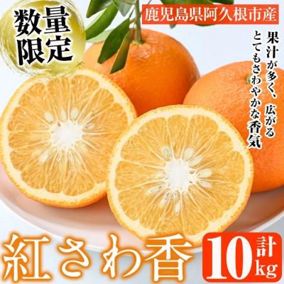 ふるさと納税 阿久根市 [先行予約受付中!] 数量限定 紅さわ香 約10kg [桐野柑橘]akn070-03