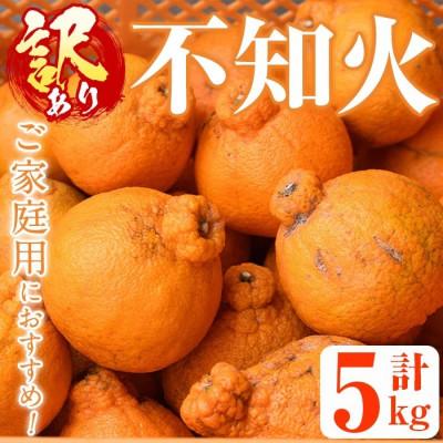 ふるさと納税 阿久根市 先行予約![訳あり・数量限定]無加温ハウス 不知火 約5kg [桐野柑橘]akn070-12