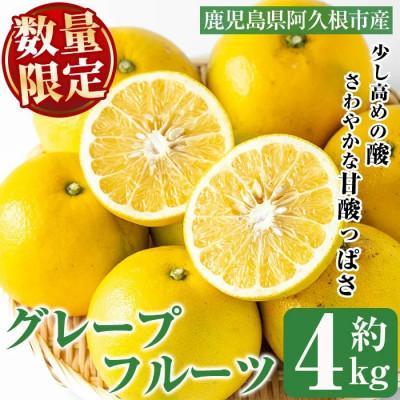 ふるさと納税 阿久根市 先行予約!数量限定! グレープフルーツ 約4kg[桐野柑橘]akn070-04