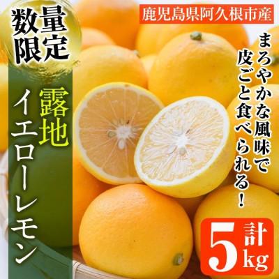 ふるさと納税 阿久根市 先行予約! 数量限定! 露地マイヤーイエローレモン 約5kg[桐野柑橘]akn070-11