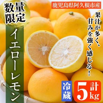 ふるさと納税 阿久根市 先行予約! 数量限定! 冷蔵品マイヤーイエローレモン 約5kg[桐野柑橘]akn070-13