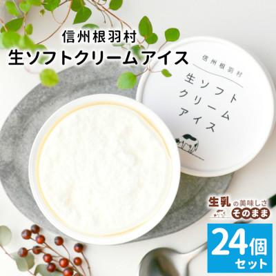 ふるさと納税 根羽村 生ソフトクリームアイス(80ml)×24個 着色料・香料不使用