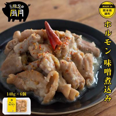 ふるさと納税 錦町 熊本県 錦町 ホルモン 味噌煮込み 計約840g(140g×6個) [お食事処 風月]