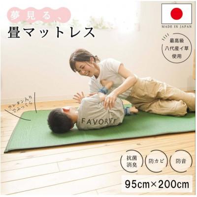 ふるさと納税 柳川市 畳マットレス超ふっくら仕上げ[グリーン] 約95cm×約200cm