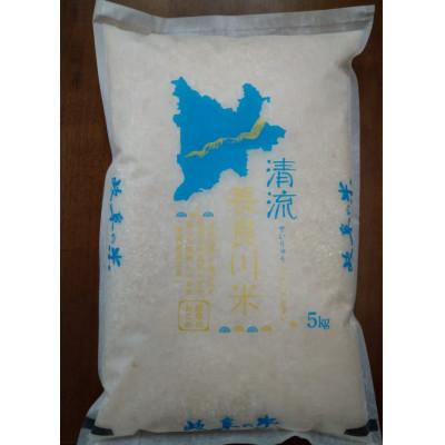 ふるさと納税 岐阜市 岐阜市産 ハツシモ 清流長良川米 精米 5kg