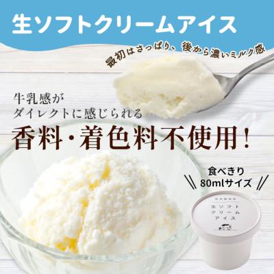 ふるさと納税 根羽村 食べ比べ!24個セット　生ソフトクリームアイス&バニラアイスクリーム_2