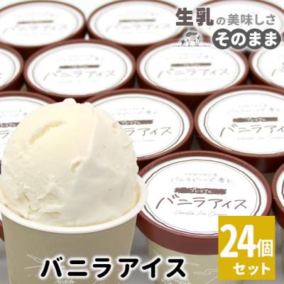 ふるさと納税 根羽村 マダガスカル産バニラビーンズを使用!バニラアイスクリーム 24個セット