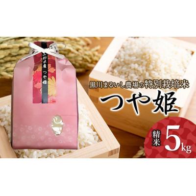ふるさと納税 鶴岡市 [令和7年産]特別栽培米つや姫 精米 5kg 黒川まるいし農場[K-747]