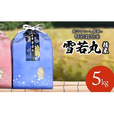 ふるさと納税 鶴岡市 [令和7年産]特別栽培米雪若丸 精米 5kg 黒川まるいし農場[K-745]