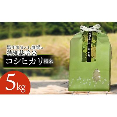 ふるさと納税 鶴岡市 [令和7年産]特別栽培米コシヒカリ 精米 5kg 黒川まるいし農場[K-745]