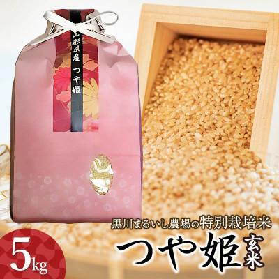 ふるさと納税 鶴岡市 [令和7年産]特別栽培米つや姫 玄米 5kg 黒川まるいし農場[K-742]