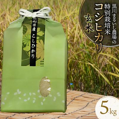 ふるさと納税 鶴岡市 [令和7年産]特別栽培米コシヒカリ 玄米 5kg 黒川まるいし農場[K-740]