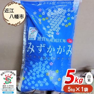 ふるさと納税 近江八幡市 [令和7年産 新米]滋賀県近江米「みずかがみ」[環境こだわり米]白米5kg(5kg×1袋)