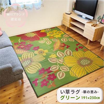 ふるさと納税 柳川市 い草 ラグ 華の恵みふっくら仕上げ[グリーン] 191cm×250cm