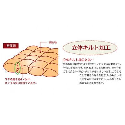 ふるさと納税 松阪市 ザ・羽毛布団 ロイヤルゴールドラベル シングル 150×210cm ポーランド産ダック 立体キルト_2
