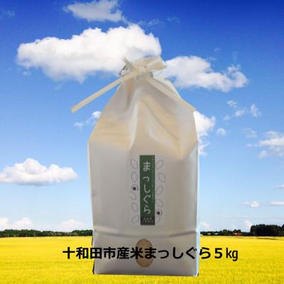 ふるさと納税 十和田市 [令和7年産]十和田市産米「まっしぐら」精米 5kg