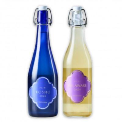 ふるさと納税 甲州市 フジクレール クラノオト 甲州辛口・デラウェア 2本セット