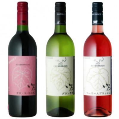 ふるさと納税 甲州市 まるき[いろシリーズ] いろヤマ・ソービニオン いろグラン甲州 いろベーリーAブラッシュC-1668