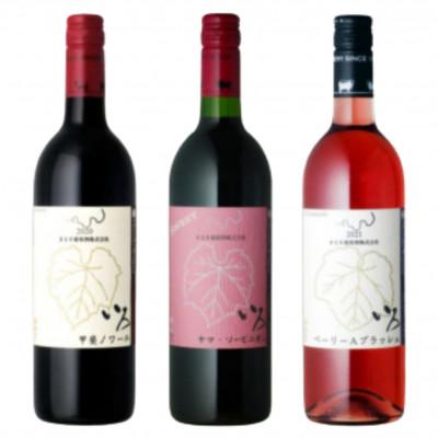 ふるさと納税 甲州市 まるき[いろシリーズ]いろ甲斐ノワール いろヤマ・ソービニオン いろベーリーAブラッシュC-1669