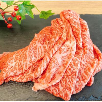 ふるさと納税 諫早市 [訳あり]長崎和牛モモ・バラ赤身切り落とし 約500g(諫早市)